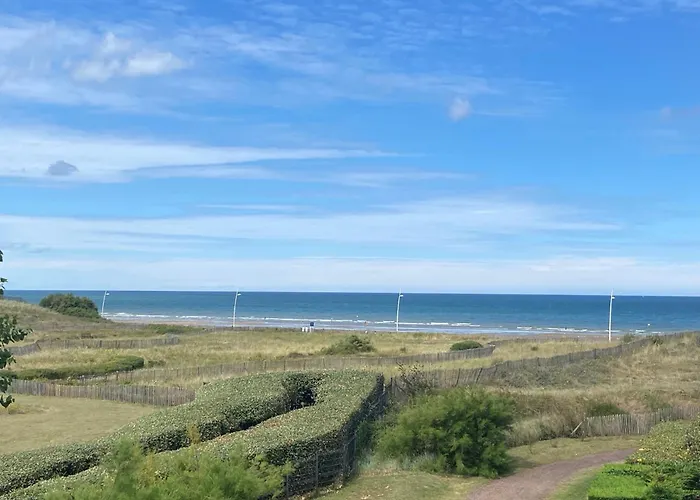 L Instant Vue * 꺄부흐